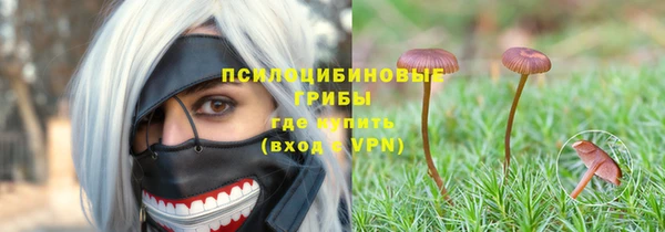 индика Алексеевка