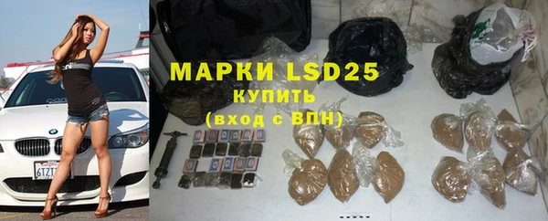 ГАЛЛЮЦИНОГЕННЫЕ ГРИБЫ Алзамай