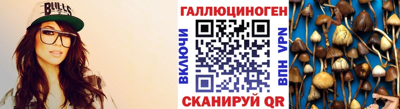 Псилоцибиновые грибы ЛСД где найти наркотики shop как зайти Можга